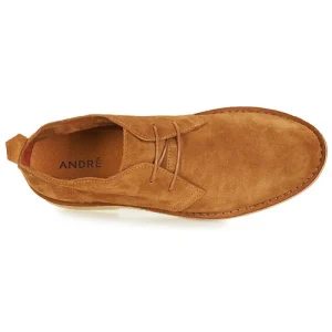 André – BRICE Marron site en ligne 18