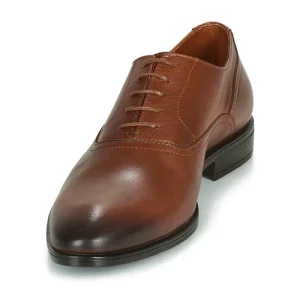 Carlington – LUDIVIEN Cognac grande marque pas cher 12