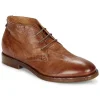 Prix très abordable KOST – DANDY 17 Cognac 20