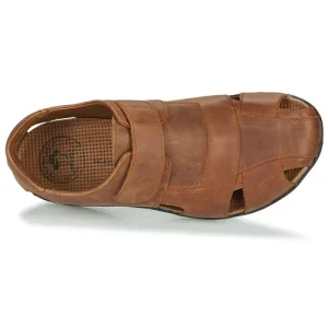 en ligne vente Panama Jack – FLETCHER Marron 18