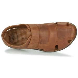 Panama Jack – FLETCHER Marron Distributeur Officiel 18
