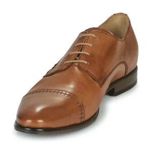 André – LOTHAR Marron mode 12