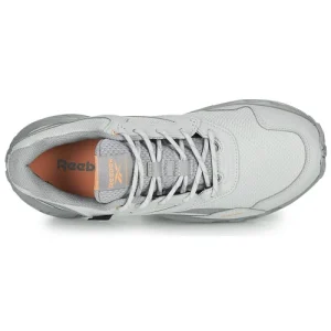 Reebok Classic – RIDGERIDER 5 GTX Gris bas prix 18