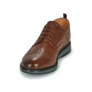 Clarks – CHANTRY WING Marron grande qualité 12