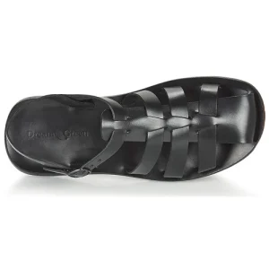 magasin pour Dream In Green – OPOL Noir 18
