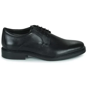 Geox – BRANDOLF Noir Nouvelle Collection 10