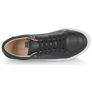 Pellet – SIMON Noir Boutique officielle 18
