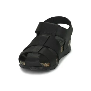 qualité d’originales Panama Jack – STANLEY C2 Noir 12