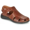 excellents soldes Pikolinos – CALBLANQUE M8T Marron 20
