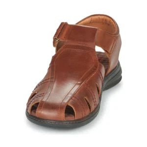 Pikolinos – CALBLANQUE M8T Marron outlet 12
