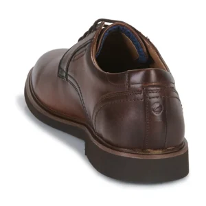 excellents soldes Clarks – MALWOOD LACE Marron 16