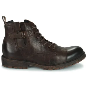 authentiques Kdopa – ALEGRE Marron 10