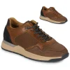 qualité supérieure Bullboxer – Marron 20