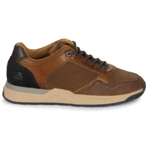 qualité supérieure Bullboxer – Marron 10