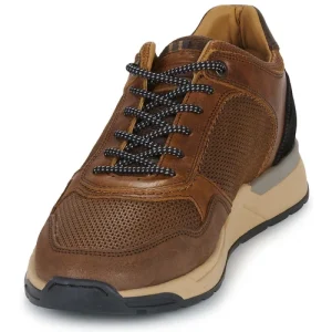 qualité supérieure Bullboxer – Marron 12