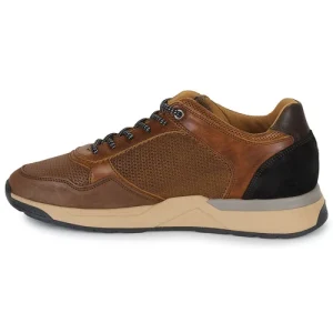 qualité supérieure Bullboxer – Marron 14