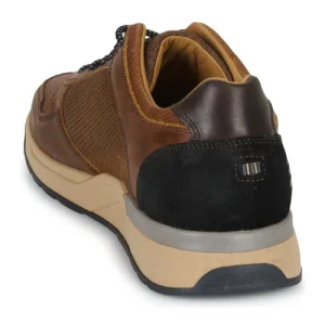 qualité supérieure Bullboxer – Marron 16