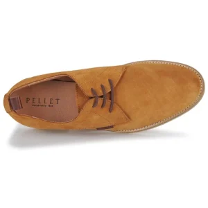 vente à bas prix Pellet – GREG Camel 18