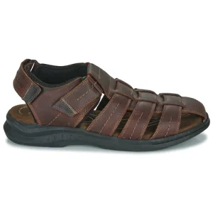 Protections acheteurs Clarks – WALKFORD FISH Marron 10