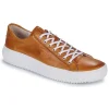 Blackstone – ZG18 Camel ultratendance 20