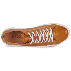 Blackstone – ZG18 Camel ultratendance 18