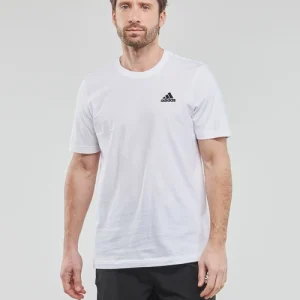 Couleurs variées Vêtements Homme Adidas Sportswear – SL SJ T Blanc 9
