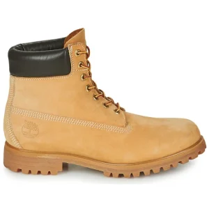 grande surprise Timberland – PREMIUM BOOT 6” Blé 10