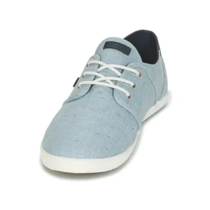 Authenticité garantie Faguo – CYPRESS COTTON Bleu 12