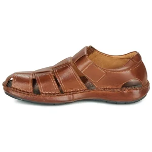 Pikolinos – TARIFA 06J Marron nouveau produit 14