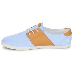 Faguo – CYPRESS13 BLU CAMEL beauté 14